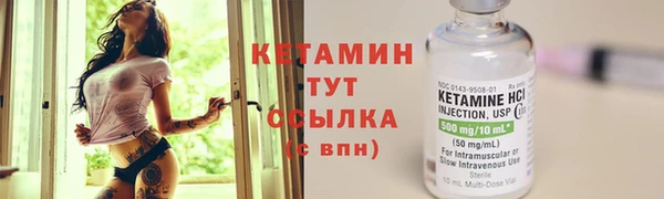 сатива Заволжье