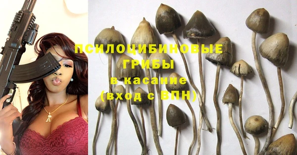 спиды Зеленодольск